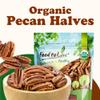Food to Live Organic Pecan Halves, 1.5 Pounds  Non-GMO, Kosher, Raw Pecan Nuts, Unsalted, Vegan, Kosher, Shelled, Sirtfood, Bulk. Good source of Calcium, and Zinc. Great for Pecan Pie, Salads, Mixes view 4