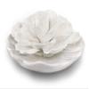 Penny & Rose Ceramic Flower Diffuser | Lawn Chair Lemonade Oil Scent | White Plate view 1