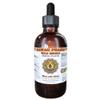 Wild Indigo (Baptisia tinctoria) Liquid Extract 2 fl.oz view 1