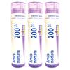 Boiron Arnica Montana 200Ck Homeopathic Medicine for Muscle Pain and Stiffness - Pack of 3 (240 Pellets) view 1