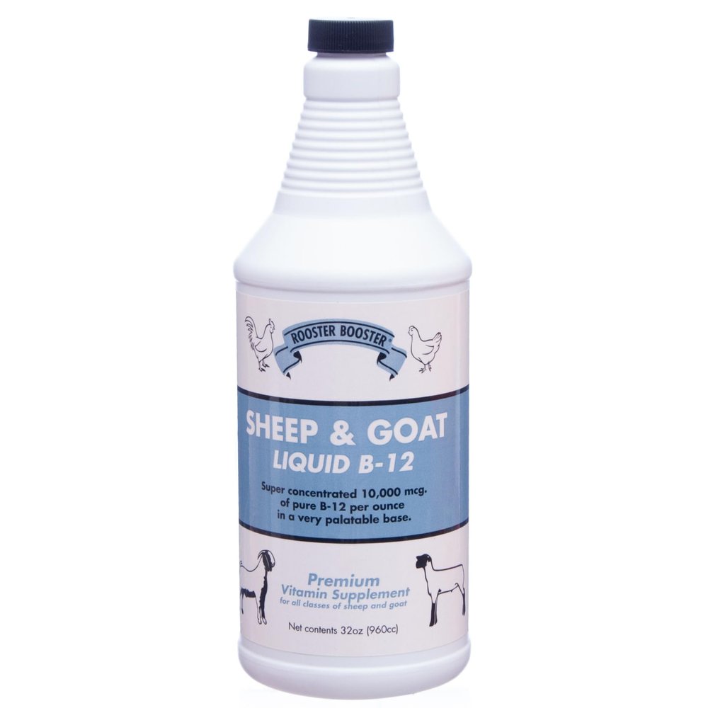 Rooster Booster B-12 Sheep and Goat Liquid, 32-Ounce