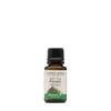 Natures Answer USDA Organic Sweet Fennel Essential Oil, 100% Pure, Natural Aromatherapy Oil for Diffuser/Humidifier, Steam Distilled 0.5 fl oz. (15ml), Made in USA view 1