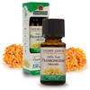 Natures Answer USDA Organic Frankincense Essential Oil, 100% Pure | Natural Aromatherapy Oil for Diffuser/Humidifier, Steam Distilled 0.5 fl oz. (15ml) | Made in USA view 1