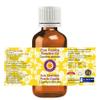 Deve Herbes Pure Copaiba Essential Oil (Copaifera officinalis) Steam Distilled 100ml (3.38 oz) view 2