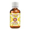 Deve Herbes Pure Labdanum Essential Oil (Cistus ladaniferus) Steam Distilled 100ml (3.38 oz) view 1