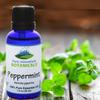 Peppermint Essential Oil - Full 1 oz (30 ml) Bottle - Pure Natural & Kosher Certified Mentha Piperita view 4