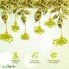 Greenhilltea traditional health herbs, Premium Honeysuckle buds 5 OZ (142 grams), honey suckle tea NO GMO, NO Additives, Caffeine free dried herbal tea view 4