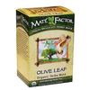 MATE FACTOR OLIVE LEAF ORGANIC YERBA MATE 20 TEA BAGS view 1