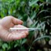 Jet Pranic Crystal Quartz Disintegrator Wand  Natural Clear Quartz Healing Tool for Energy Clearing, Chakra Balancing, Psychic Surgery, Stress Relief & Spiritual Growth view 3