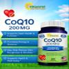 aSquared Nutrition CoQ10 (200 Capsules and 200mg) - High Absorption Vegan CO Q-10 Powder - Enzyme Ubiquinone Supplement Pills, Extra Antioxidant Coenzyme Q10 Vitamin, Coq 10 Alernative to Softgels view 2