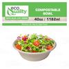 250 Count - EcoQuality 40oz Round Disposable Bowls Natural Sugarcane Bagasse Bamboo Fibers Sturdy Compostable Eco Friendly Environmental Paper Plastic Bowl Alternative Tree Free view 4