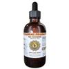 Sea Cucumber Liquid Extract, Sea Cucumber (Holoturia Atra) Tincture, Herbal Supplement, Hawaii Pharm, Made in USA, 2 fl.oz view 1