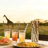 125 pcs Mixed Safari Party Paper Straws, Black Cow Zebra Brown Cheetah Giraffe Leopard Animal Print Paper Drinking Straws Bulk, Jungle BBQ Birthday Cake Pop Sticks view 2