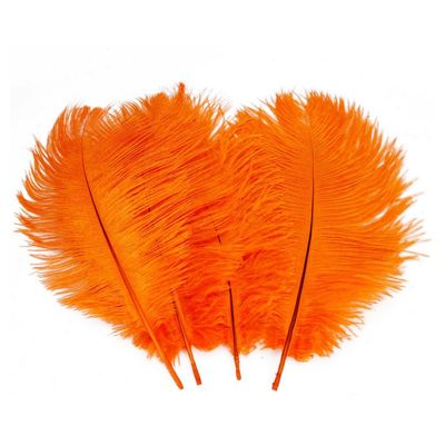 10 PCS Quality Natural Ostrich Feathers 30-35 cm/12-14 Inch Purple Color Good Crafted DIY Ideas