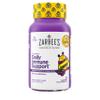 Zarbee's Elderberry Gummies for Kids with Vitamin C; Zinc & Elderberry; Daily Childrens Immune Support Vitamins Gummy for Children Ages 2 and Up; Natural Berry Flavor; 21 Count view 1