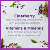 Zarbee's Elderberry Gummies for Kids with Vitamin C; Zinc & Elderberry; Daily Childrens Immune Support Vitamins Gummy for Children Ages 2 and Up; Natural Berry Flavor; 21 Count view 2