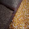 Southern Boy stills 2298543 10 lb. Moonshiners Blend 80%cracked Corn, 10% RYE, 10% Barley view 1