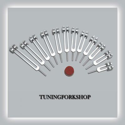 12 Pc Song of The Spine Tuning Fork for Healing with Activator and Pouch