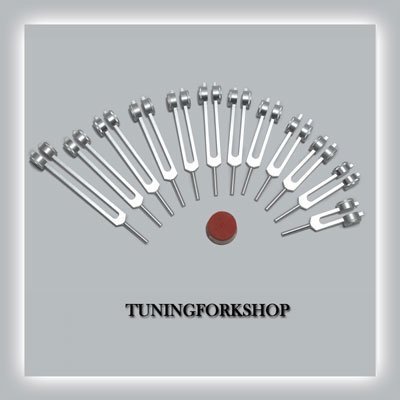 12 Pc Song of The Spine Tuning Fork for Healing with Activator and Pouch