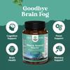 Advanced Brain Supplement for Memory and Focus - Nootropics Brain Support Supplement with Memory and Focus Vitamins for Adults of All Ages - for Brain Fog Clarity Energy and Recall view 3