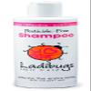 LADIBUGS Lice Prevention Shampoo 8oz | Natural, Essential Oils, Sulfate-free | Keep Head Lice Away! view 1