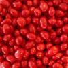 Sconza Boston Baked Beans 1.5 Pound (24 OZ) view 1