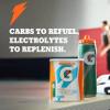 Gatorade Thirst Quencher 51Oz Powder Variety Pack (Pack of 3) view 3