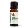 Plant Therapy Organic Frankincense Frereana Essential Oil 100% Pure, USDA Certified Organic, Undiluted, Natural Aromatherapy, Therapeutic Grade 10 mL (1/3 oz) view 1