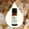 Plant Therapy Organic Frankincense Frereana Essential Oil 100% Pure, USDA Certified Organic, Undiluted, Natural Aromatherapy, Therapeutic Grade 10 mL (1/3 oz) view 3