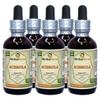 Acerola (Malpighia glabra) Tincture, Organic Dried Berry Liquid Extract (Brand Name: HerbalTerra, Proudly Made in USA) 5x2 fl.oz (5x60 ml) view 1