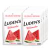 Luden's Sore Throat Relief Lozenges for Minor Everyday Irritation & Dry Mouth, Watermelon Flavored Drops, 25 Count, Pack of 12 view 1