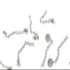 10 Pcs New Stainless Steel Traction Chain with Eyelet Button Chain Dental Orthodontics Materials view 1