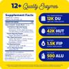 Enzymedica Digest Complete, Full-Range Digestive Enzymes for Daily Gut Health, Fast-Acting Relief from Gas, Bloating & Indigestion, 240 Count view 3