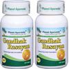 Planet Ayurveda Gandhak Rasayan Tablets - 2 Bottles (Each 120 Tablets, 500mg) view 1