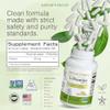 Nature's Trove L-Theanine 200mg Super Value Size - 365 Vegetarian Capsules view 3