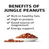 Foods Alive | Organic Jungle Peanuts | Wild Jungle Peanuts | Non-GMO, Vegan, Gluten Free, Keto, Paleo, Kosher, Raw 8 oz view 4