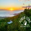 100% Kona Coffee  Whole Bean, Medium roast, Single estate gourmet coffee, 16 ounces, Farm fresh roasted from Domain Kona Coffee view 4