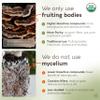 Organic Turkey Tail Mushroom Powder Supplement 100g | Pure Fruiting Body 10:1 High Strength Extract | 50% Beta-D Glucans | 16,600mg Raw Equivalent Per Serving | Immune, Gut & Microbiome Support view 3