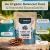 Organic Turkey Tail Mushroom Powder Supplement 100g | Pure Fruiting Body 10:1 High Strength Extract | 50% Beta-D Glucans | 16,600mg Raw Equivalent Per Serving | Immune, Gut & Microbiome Support view 4