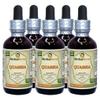 Quassia (Quassia Amara) Tincture, Dried Wood Liquid Extract (Brand name: HerbalTerra, Proudly made in USA) 5x2 fl.oz (5x60 ml) view 1