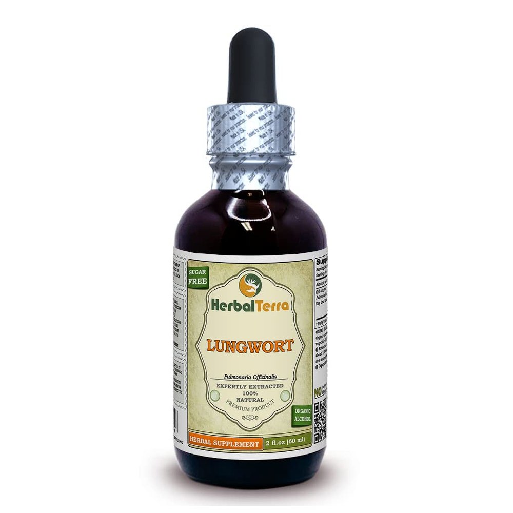 Lungwort (Pulmonaria Officinalis) Tincture, Organic Dried Leaves Liquid Extract (Brand Name: HerbalTerra, Proudly Made in USA) 2 fl.oz (60 ml)