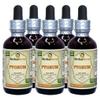 African Cherry Pygeum (Prunus Africana) Tincture, Organic Dried Bark Liquid Extract (Brand Name: HerbalTerra, Proudly Made in USA) 5x2 fl.oz (5x60 ml) view 1