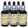Zhi Zi, Gardenia (Gardenia Jasminoides) Tincture, Organic Dried Fruit Liquid Extract (Brand Name: HerbalTerra, Proudly Made in USA) 5x2 fl.oz (5x60 ml) view 1