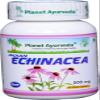 Planet Ayurveda Indian Echinacea - 2 Bottles (Each 60 Capsules, 500mg) (in USA) view 2