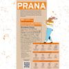 Prana Chai Original Masala Chai Tea - Australian Masala Loose Sticky Chai, 1000g view 2