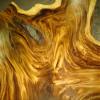 25 pounds of kiln Dried, Fancy Exotic Tropical Woods: Mahogany, Mango, Spanish Oak, granadillo, etc. view 4