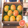 Fresh Florida Red Grapefruit, 8 pieces view 1