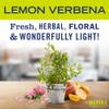 MRS. MEYER'S CLEAN DAY Kitchen Essentials Set, Includes: Hand Soap, Dish Soap, and All Purpose Cleaner, Lemon Verbena, 3 Count Pack view 3