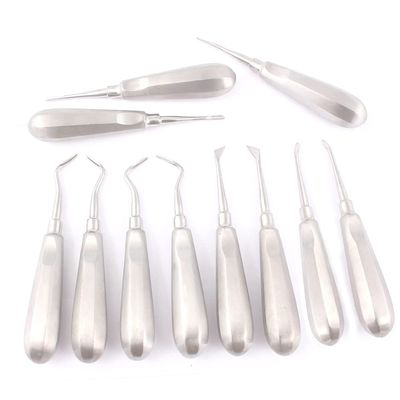 PRECISE CANADA: 11 Dental Elevators Extraction Dental Instruments New