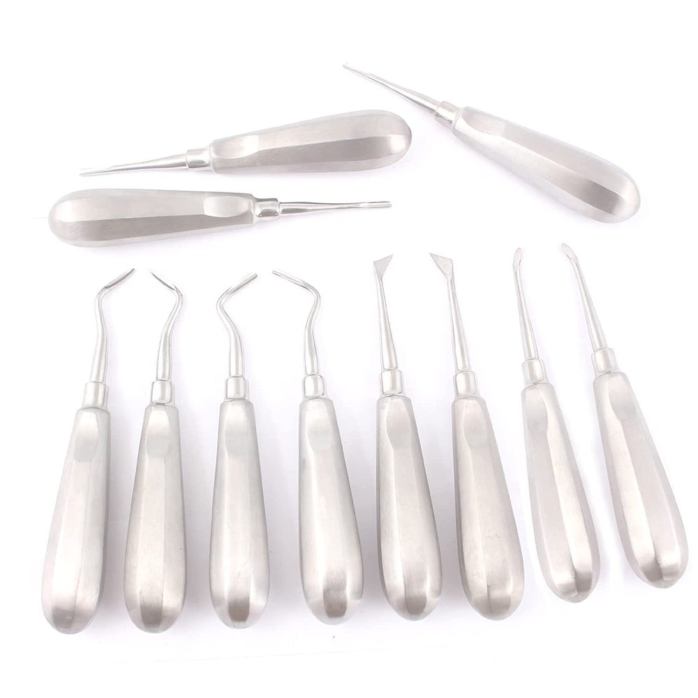PRECISE CANADA: 11 Dental Elevators Extraction Dental Instruments New
